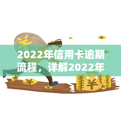 2022年信用卡逾期流程，详解2022年信用卡逾期处理流程