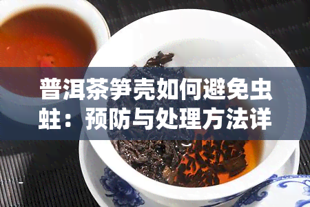 普洱茶笋壳如何避免虫蛀：预防与处理方法详解