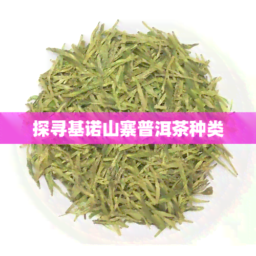 探寻基诺山寨普洱茶种类