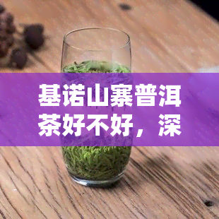 基诺山寨普洱茶好不好，深度解析：基诺山寨普洱茶的品质与口感究竟如何？