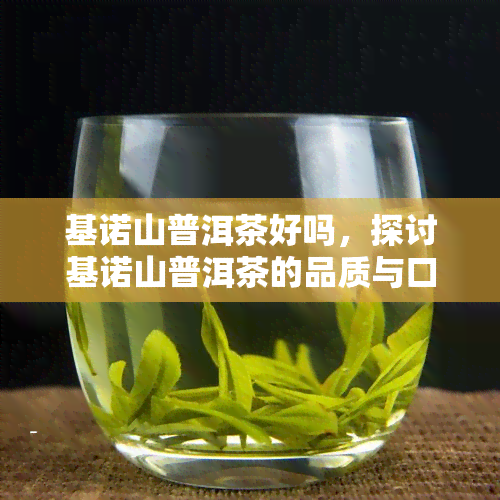 基诺山普洱茶好吗，探讨基诺山普洱茶的品质与口感：是否值得尝试？