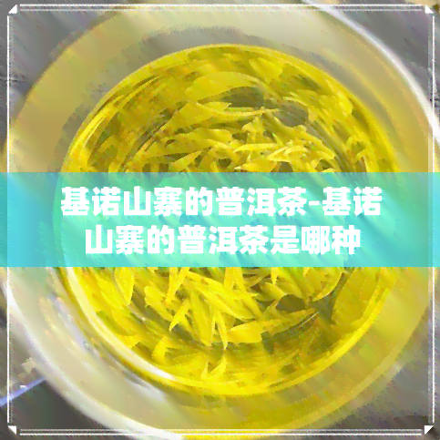 基诺山寨的普洱茶-基诺山寨的普洱茶是哪种