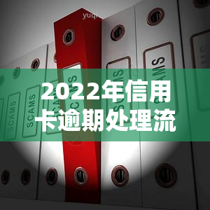 2022年信用卡逾期处理流程详解及步骤图