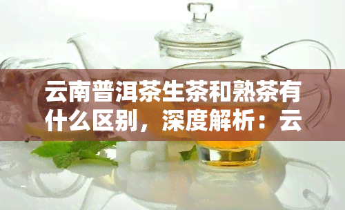 云南普洱茶生茶和熟茶有什么区别，深度解析：云南普洱茶生茶与熟茶的五大区别