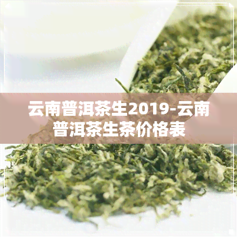 云南普洱茶生2019-云南普洱茶生茶价格表