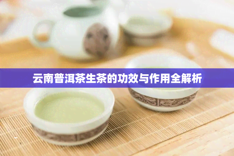 云南普洱茶生茶的功效与作用全解析