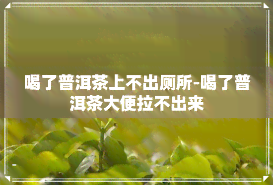 喝了普洱茶上不出厕所-喝了普洱茶大便拉不出来