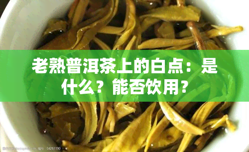 老熟普洱茶上的白点：是什么？能否饮用？