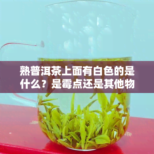 熟普洱茶上面有白色的是什么？是霉点还是其他物质？