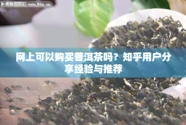 网上可以购买普洱茶吗？知乎用户分享经验与推荐