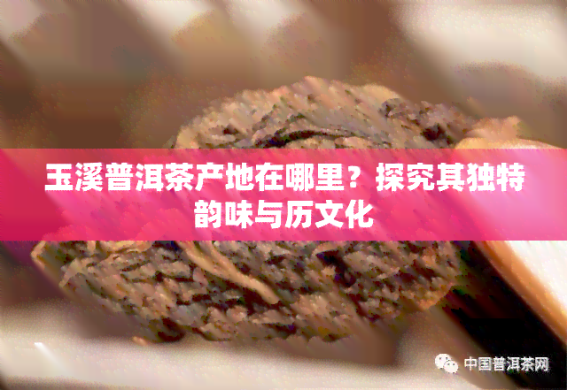 玉溪普洱茶产地在哪里？探究其独特韵味与历文化