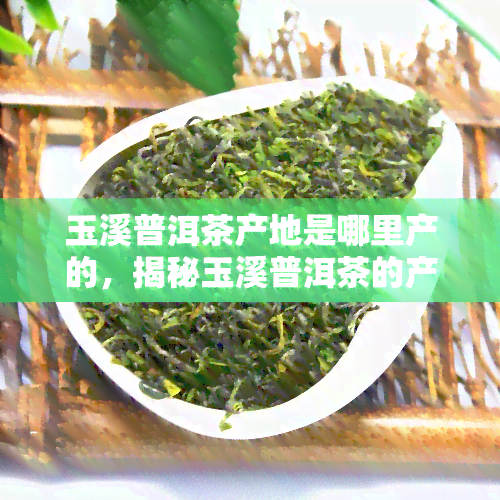 玉溪普洱茶产地是哪里产的，揭秘玉溪普洱茶的产地来源