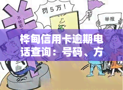 桦甸信用卡逾期电话查询：号码、方法及注意事全攻略