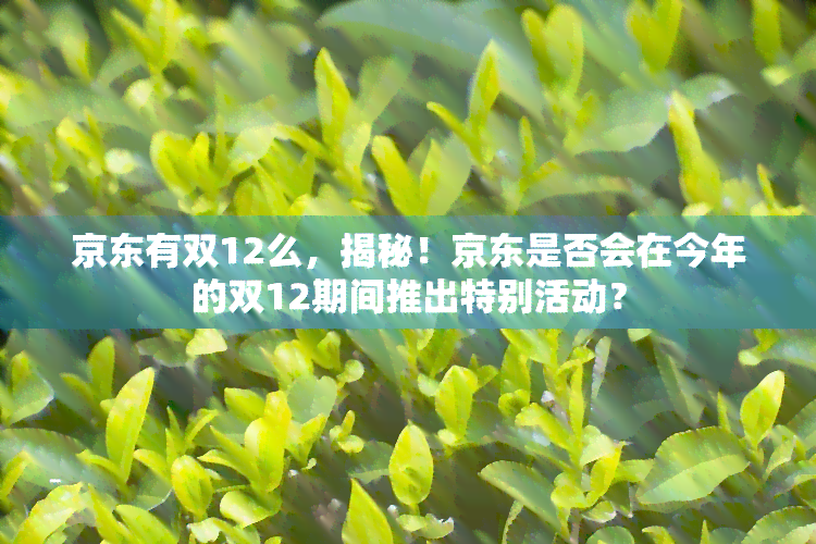 京东有双12么，揭秘！京东是否会在今年的双12期间推出特别活动？