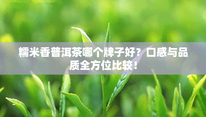 糯米香普洱茶哪个牌子好？口感与品质全方位比较！