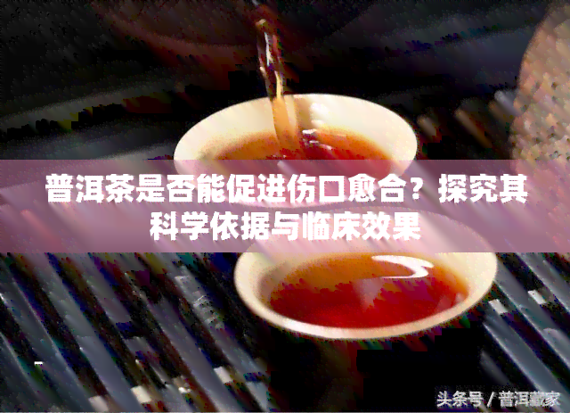 普洱茶是否能促进伤口愈合？探究其科学依据与临床效果