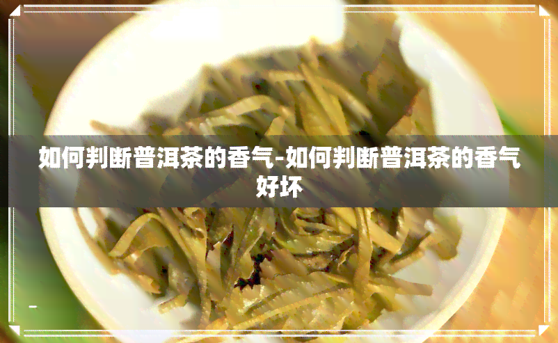 如何判断普洱茶的香气-如何判断普洱茶的香气好坏