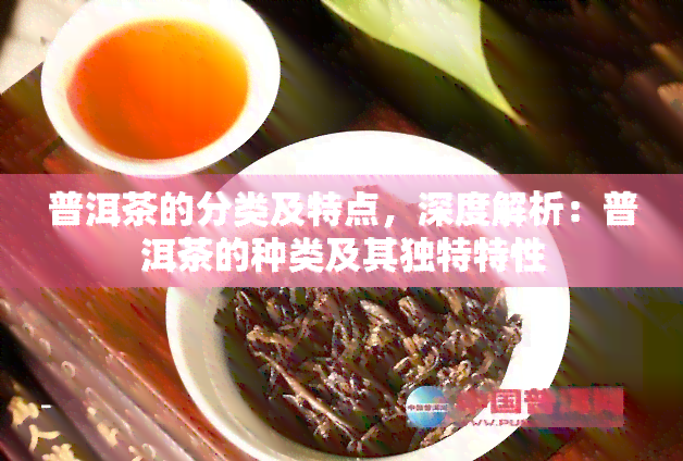 普洱茶的分类及特点，深度解析：普洱茶的种类及其独特特性