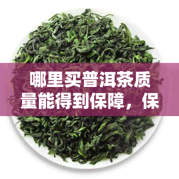 哪里买普洱茶质量能得到保障，保障质量的普洱茶购买地在哪里？