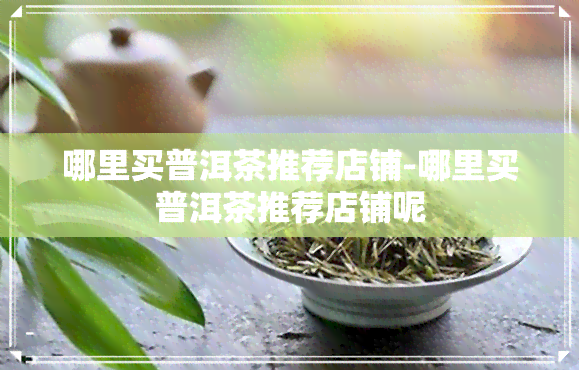 哪里买普洱茶推荐店铺-哪里买普洱茶推荐店铺呢