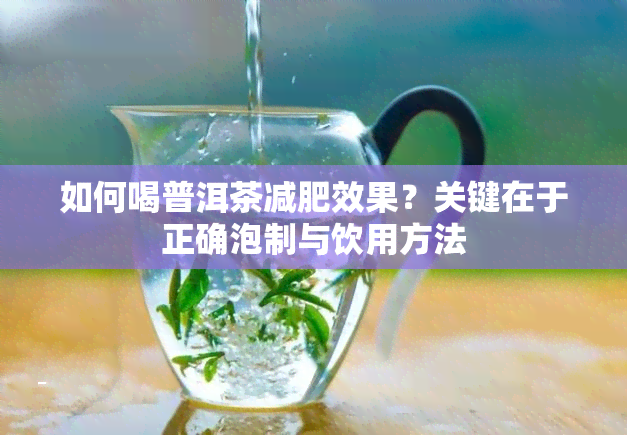 如何喝普洱茶减肥效果？关键在于正确泡制与饮用方法