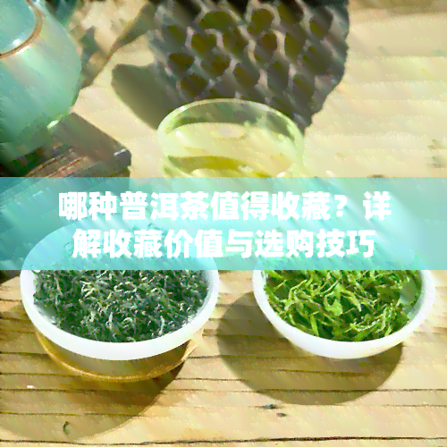 哪种普洱茶值得收藏？详解收藏价值与选购技巧