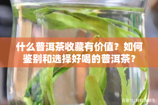 什么普洱茶收藏有价值？如何鉴别和选择好喝的普洱茶？