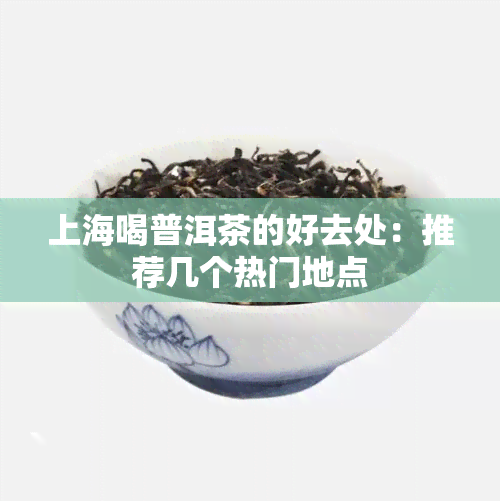 上海喝普洱茶的好去处：推荐几个热门地点