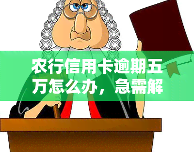 农行信用卡逾期五万怎么办，急需解决！农行信用卡逾期五万，如何处理？