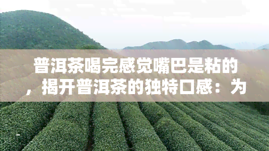 普洱茶喝完感觉嘴巴是粘的，揭开普洱茶的独特口感：为什么喝完后会觉得嘴巴黏糊糊的？