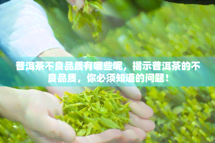 普洱茶不良品质有哪些呢，揭示普洱茶的不良品质，你必须知道的问题！