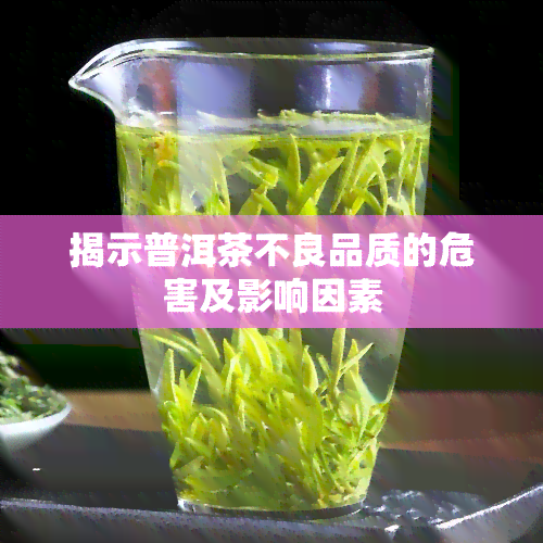 揭示普洱茶不良品质的危害及影响因素