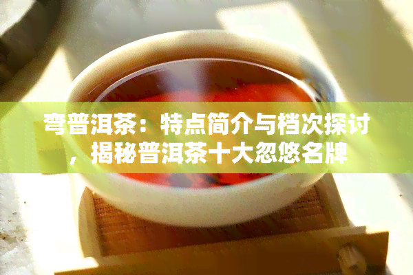 弯普洱茶：特点简介与档次探讨，揭秘普洱茶十大忽悠名牌