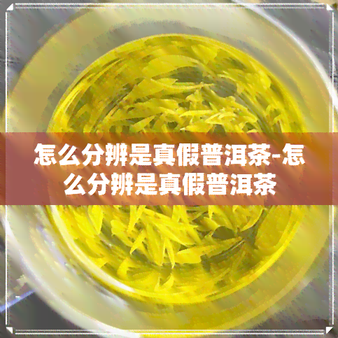 怎么分辨是真假普洱茶-怎么分辨是真假普洱茶