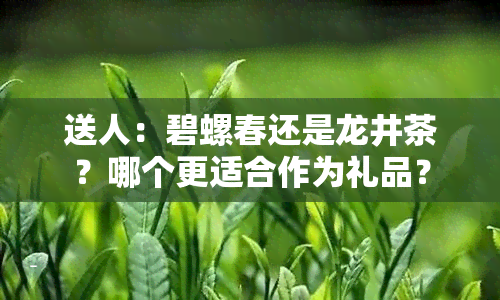 送人：碧螺春还是龙井茶？哪个更适合作为礼品？