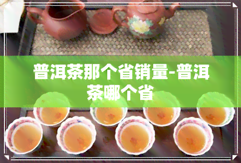 普洱茶那个省销量-普洱茶哪个省