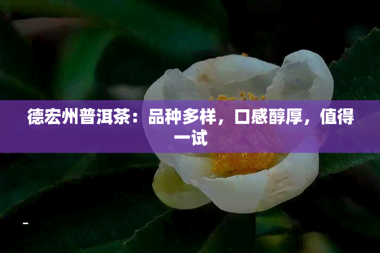 德宏州普洱茶：品种多样，口感醇厚，值得一试