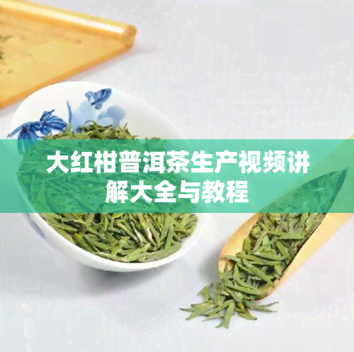 大红柑普洱茶生产视频讲解大全与教程