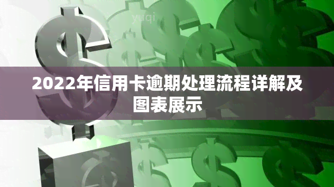 2022年信用卡逾期处理流程详解及图表展示