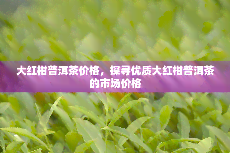 大红柑普洱茶价格，探寻优质大红柑普洱茶的市场价格