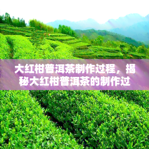 大红柑普洱茶制作过程，揭秘大红柑普洱茶的制作过程