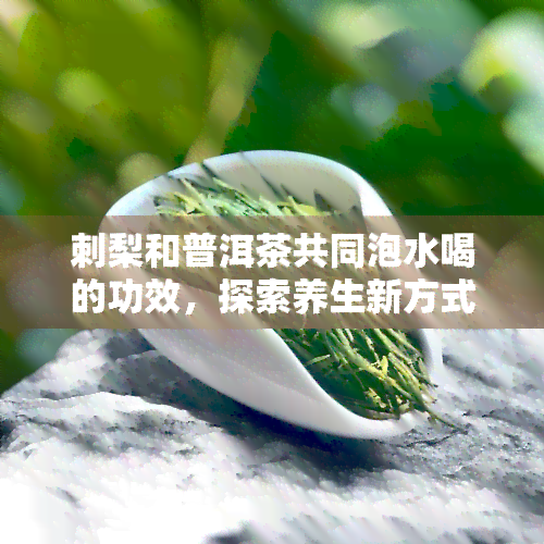 刺梨和普洱茶共同泡水喝的功效，探索养生新方式：刺梨与普洱茶的神奇搭配