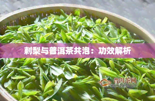 刺梨与普洱茶共泡：功效解析