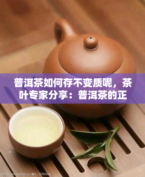 普洱茶如何存不变质呢，茶叶专家分享：普洱茶的正确存方法，让你的茶叶不变质！