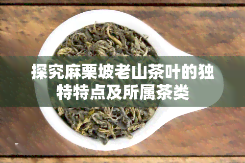 探究麻栗坡老山茶叶的独特特点及所属茶类