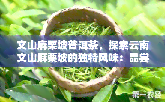 文山麻栗坡普洱茶，探索云南文山麻栗坡的独特风味：品尝普洱茶的奇妙旅程