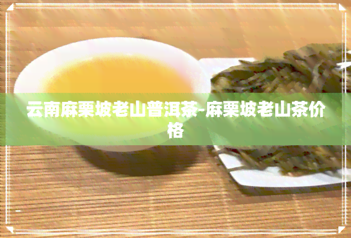 云南麻栗坡老山普洱茶-麻栗坡老山茶价格