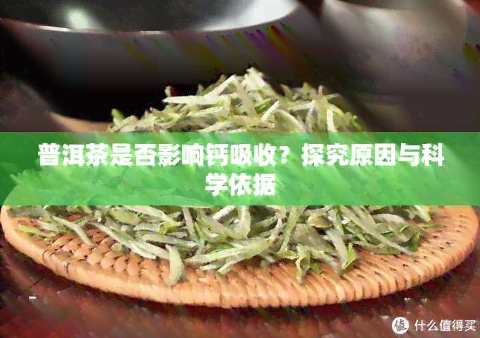 普洱茶是否影响钙吸收？探究原因与科学依据