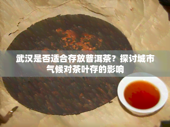 武汉是否适合存放普洱茶？探讨城市气候对茶叶存的影响