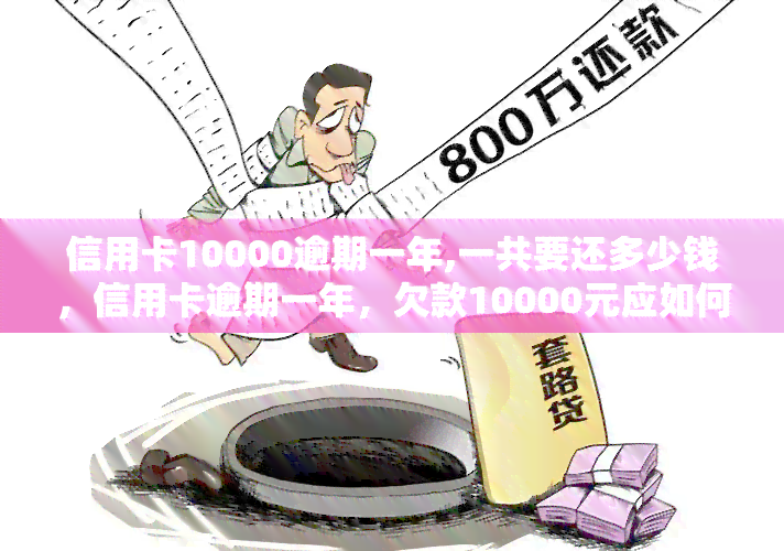 信用卡10000逾期一年,一共要还多少钱，信用卡逾期一年，欠款10000元应如何偿还？